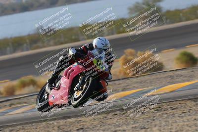 media/Dec-18-2022-SoCal Trackdays (Sun) [[8099a50955]]/Turn 14 (940am)/